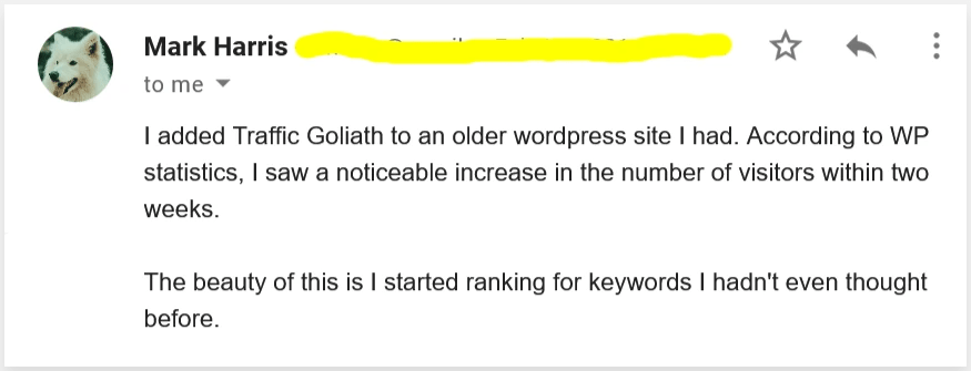 Traffic goliath user review