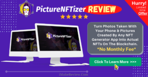 Picturenftizer review