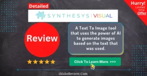 Synthesys visual review